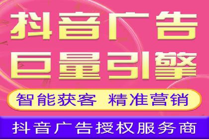 案例对比：SEO与SEM优化效果深度分析